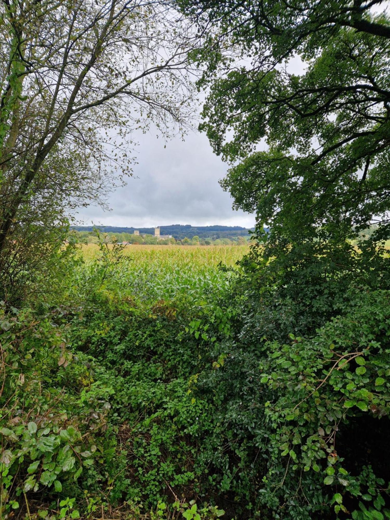 Featheredge Corner Lodge ウェルズ エクステリア 写真